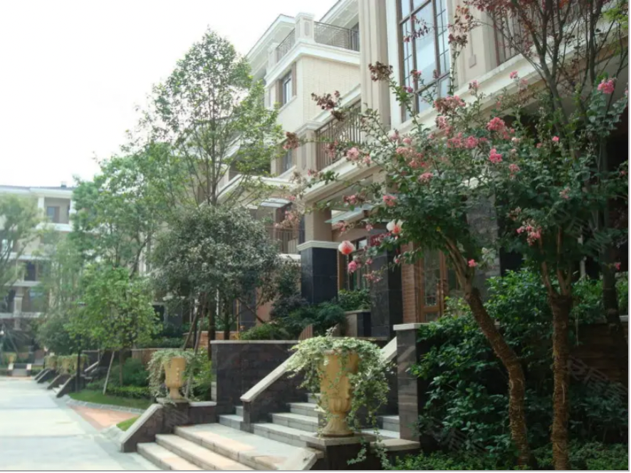 1658843615360907.png 1658843615360907.png